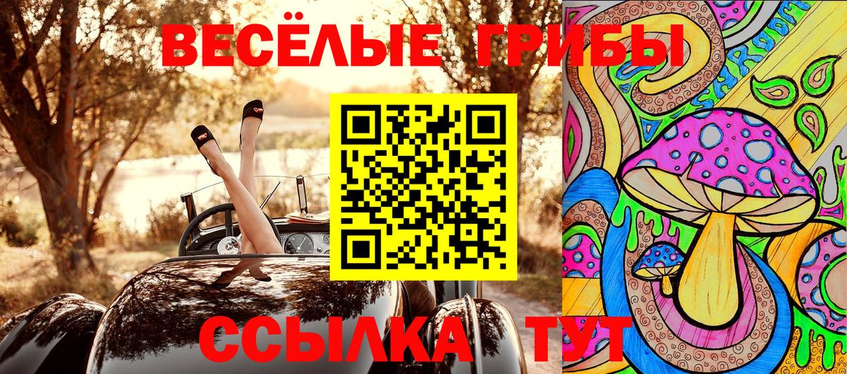 Псилоцибиновые грибы ЛСД  Вход с VPN  Кузнецк  Галлюциногенные грибы мицелий 