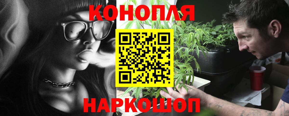 Бошки марихуана White Widow  МАРИХУАНА сатива  Кузнецк  Вход с VPN 